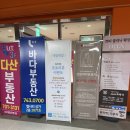 엘시티 네일테일