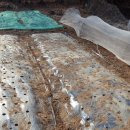 서호농장 이미지