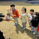 쥬쥬랜드 이미지