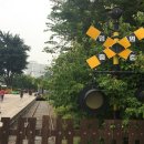 무등산자락 무돌길 15길 푸른길 네이버블로그