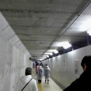 패덕(Paddock)