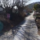 맹종죽순체험길 | 거제 맹종죽순체험길 편백숲 백패킹