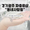 산사골 | 경기도파충류샵 &#34;동네사람들 파충류샵&#34;에서 골드 동생 분양 후기!
