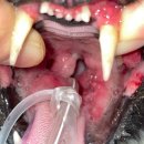 여울동물병원 이미지