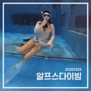 알프스 | 대전 다이빙풀 &#39;알프스 다이빙&#39; 펀다이빙 후기
