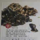 화순민물매운탕 이미지