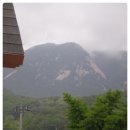 쉴만한 물가 이미지