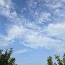 식생활교육횡성네트워크 네이버블로그