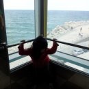 윌로우목장 이미지