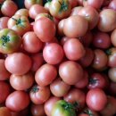 효정농장 이미지