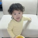 우리 아이 첫밥상 | 밥 안 먹던 27개월 아들도 잘 먹은 푸키루키 아이곰국 &amp; 우리아이첫햇반 후기