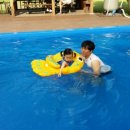 아일랜드코쿤 이미지