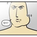 바닐라 동천