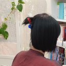 서림동-25 | 신림동 붙임머리잘하는곳 천연모 25만원 후기(삼성동,신사동,서원동,서림동,난곡동)