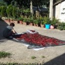 강두농장 이미지