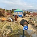 황룡stay 이미지