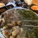낙성곱창 티스토리