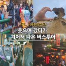 EG투어버스 D코스 | &#39;이거.. 지옥투어였어?&#39; 웃으며 갔다가 기어서 나온 버스투어