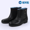 렉스