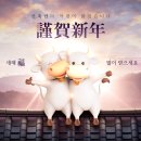 메디비젼 이미지