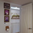 임현진 카카오 검색결과