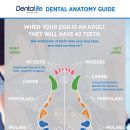알파동물병원 이미지