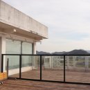 러브독 애견스쿨 이미지