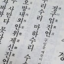 수리수리마하수리 이미지