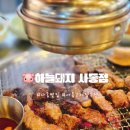 사동 | 경산 사동 맛집/현지인 맛집으로 단골 많은 하늘 돼지 사동점 후기.