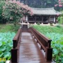 현내리 도원정사 이미지