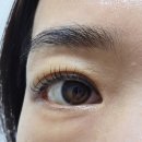 61 Lash(식스원 래쉬) | [병점역 속눈썹 병점역 펌 병점역 연장] 원식스 속눈썹펌 만족후기