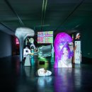 울산시립미술관 이미지