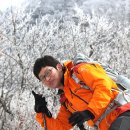 용환 Daum카페
