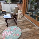 수원-0351 이미지