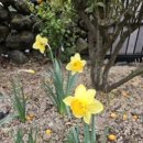 윤서네펜션 이미지