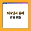 나드리야영장