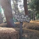 김종철 시비 이미지