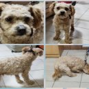 문막고등학교 이미지