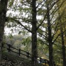 장태산휴양림 이미지