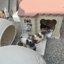 산정호수글램핑 이미지