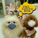 그래요 - 연수구 컨벤시아대로 100 | 그래요
