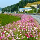 만선리보건진료소 이미지