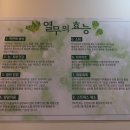 법원열무3호점 이미지