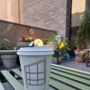 사과나무부동산중개 이미지