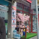 취영각 | 장유 율하맛집 취영각 양꼬치 맛있는 곳 연맥