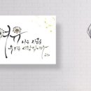 새나빛
