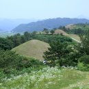 함안 군북 지석묘군 | [경남 함안] 700년 씨앗이 피운 아라홍련 그리고 말이산고분군