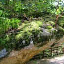 오전약수관광지 이미지