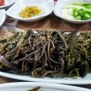 초암황토방