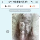 청산동물병원 이미지